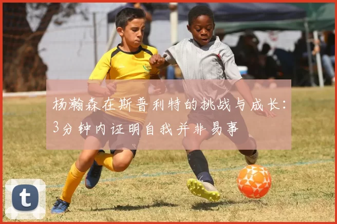 杨瀚森在斯普利特的挑战与成长：3分钟内证明自我并非易事